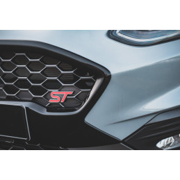 Maxton Design-Avant Grill Ford Fiesta ST Mk8 