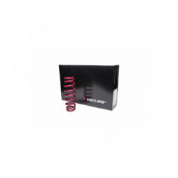VOGTLAND Kit amort/ress Opel Astra G 