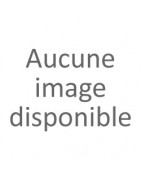W436 (2018- )
